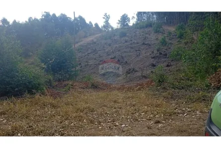 Lote/Terreno à venda, 1760m² no , Socorro