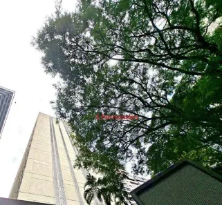 Sala Comercial para alugar, 526m² no Cerqueira César, São Paulo