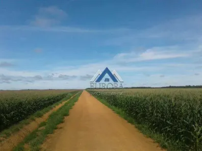 Fazenda/Sítio com 6 Quartos à venda, 1050m² no , Nova Ubiratã