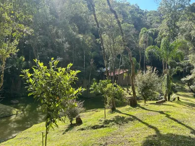 Fazenda/Sítio com 1 Quarto à venda, 85m² no , Piên