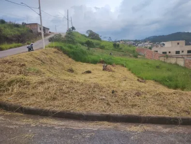 Lote/Terreno à venda, 319m² no Santo Agostinho, Conselheiro Lafaiete