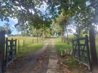Fazenda/Sítio com 3 Quartos à venda, 1524600m² no , Pojuca