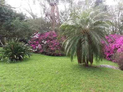 Fazenda/Sítio com 4 Quartos à venda, 36000m² no Espigão, Viamão