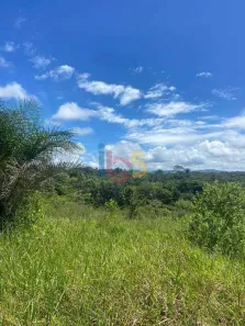 Fazenda/Sítio à venda, 52000m² no Aritaguá, Ilhéus