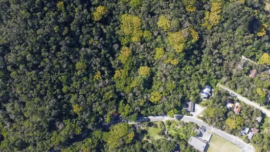 Lote/Terreno à venda, 31064m² no Praia do Estaleiro, Balneário Camboriú