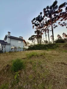 Lote/Terreno à venda, 600m² no Vale das Colinas, Gramado