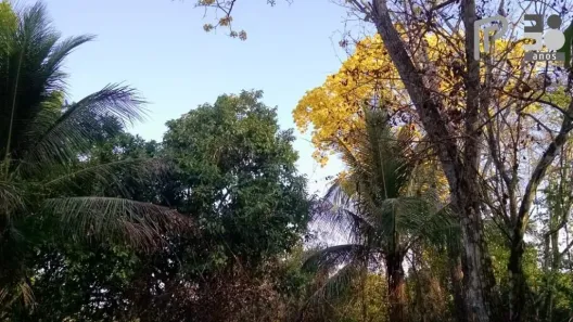 Lote/Terreno à venda, 5654000m² no Centro, Santa Rita