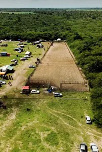 Fazenda/Sítio com 8 Quartos à venda, 320000m² no , São José de Mipibu