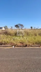Lote/Terreno com 1 Quarto à venda, 250m² no Loteamento Luizote de Freitas IV, Uberlândia