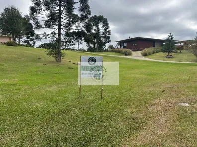 Lote/Terreno à venda, 1352m² no Centro, Campo Alegre