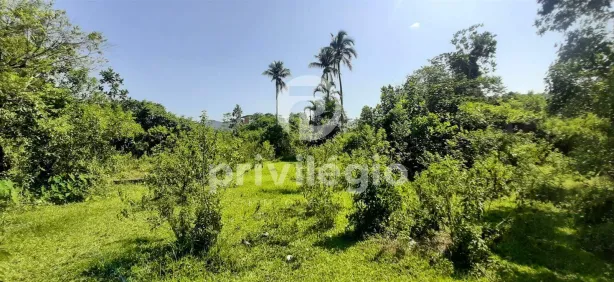 Lote/Terreno à venda, 10000m² no Vargem Grande, Rio de Janeiro