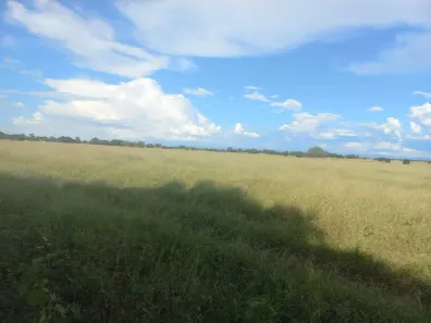 Fazenda/Sítio com 1 Quarto à venda, 3150m² no , Jaíba