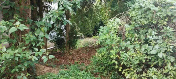 Lote/Terreno à venda, 240m² no Vila Lucinda, Santo André