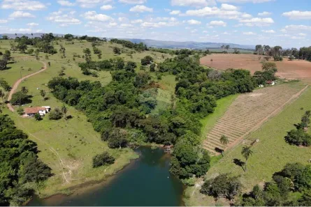 Fazenda/Sítio com 1 Quarto à venda, 20000m² no Delfinópolis, Delfinópolis