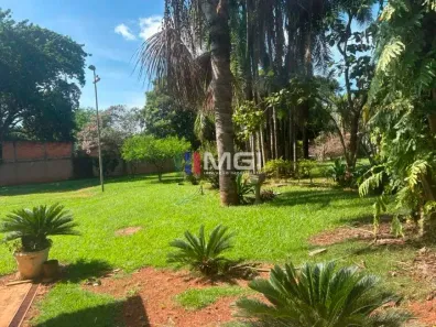Fazenda/Sítio com 3 Quartos à venda, 5000m² no Sítios Olhos D'agua, Senador Canedo