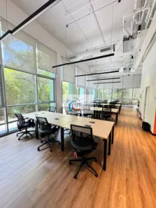 Sala Comercial para alugar, 826m² no Vila Madalena, São Paulo