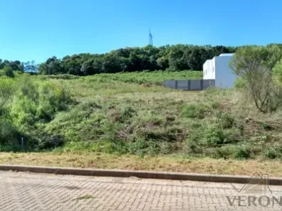 Lote/Terreno à venda, 351m² no Monte Bérico, Caxias do Sul