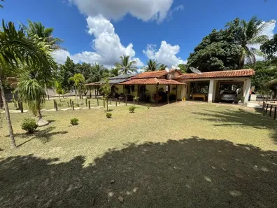 Fazenda/Sítio com 3 Quartos à venda, 1m² no Riacho da Guia, Alagoinhas