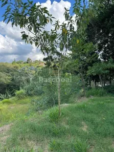Lote/Terreno à venda, 2500m² no Condomínio Porta do Sol, Mairinque