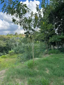 Lote/Terreno à venda, 2500m² no , Mairinque