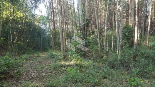 Fazenda/Sítio à venda, 90000m² no Dos Boêmios, Nova Petrópolis