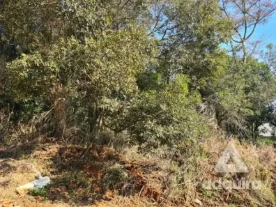 Lote/Terreno à venda, 424m² no Uvaranas, Ponta Grossa