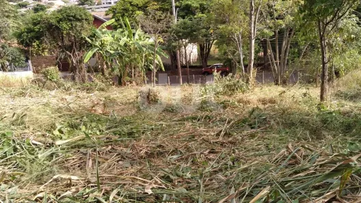 Lote/Terreno à venda, 336m² no Jardim das Paineiras, Campinas