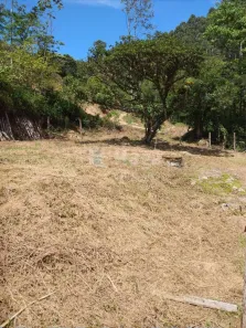 Fazenda/Sítio à venda, 39928m² no Cedro Grande, Brusque
