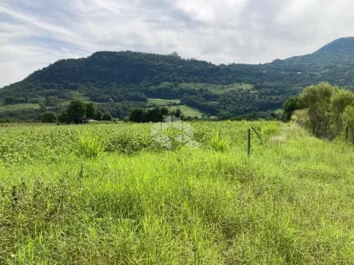 Fazenda/Sítio à venda, 31600m² no Vale do Rio Caí, Nova Petrópolis