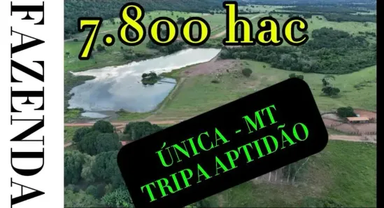 Imóveis à venda em Cáceres, MT por Imobiliárias e Proprietários - Viva Real