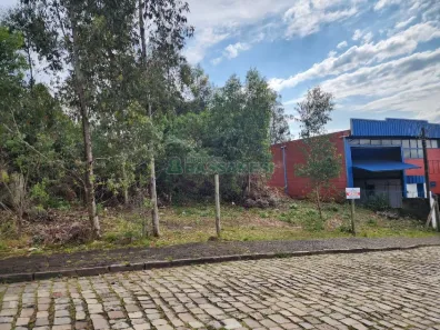 Lote/Terreno à venda, 360m² no Cidade Nova, Caxias do Sul
