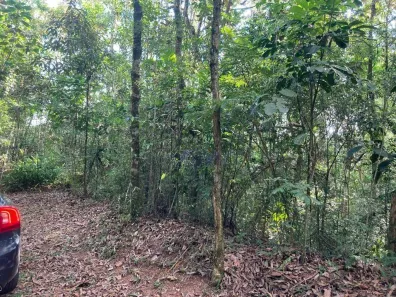 Lote/Terreno à venda, 6130m² no Jardim Atalaia, Cotia