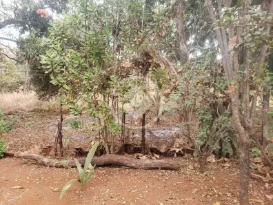 Lote/Terreno à venda, 1593m² no Sítios de Recreio dos Bandeirantes, Goiânia