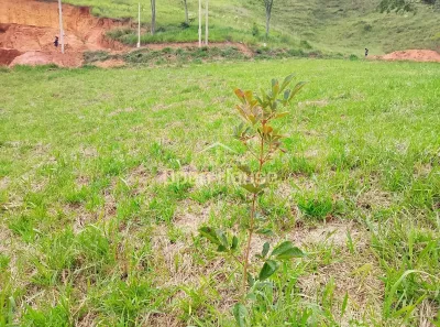 Lote/Terreno à venda, 400m² no Santa Rita do Zarur, Volta Redonda