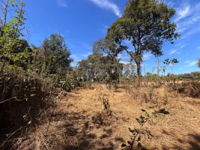 Lote/Terreno à venda, 5040m² no Jardim Zavanella, Araraquara