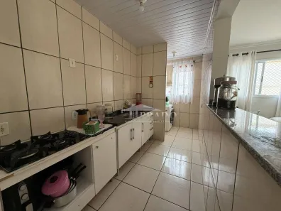 Apartamento com 3 Quartos à venda, 56m² no Ipê, Ibiporã