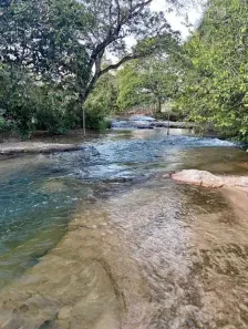 Fazenda/Sítio com 1 Quarto à venda, 200m² no , Baliza