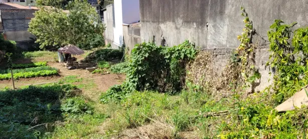 Lote/Terreno à venda, 377m² no Jardim Franca, São Paulo