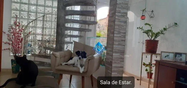 Sobrado com 3 Quartos à venda, 216m² no Assunção, São Bernardo do Campo