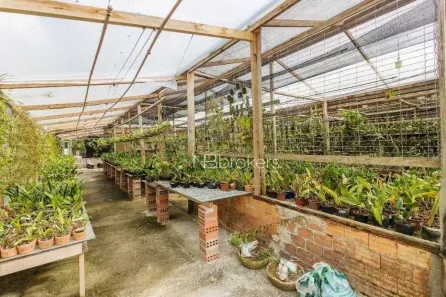 Lote/Terreno à venda, 6000m² no Área Rural de São José dos Pinhais, São José dos Pinhais