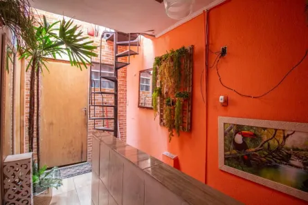 Casa com 8 Quartos à venda, 150m² no Barra Funda, São Paulo