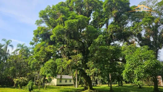 Fazenda/Sítio com 2 Quartos à venda, 204m² no , Morretes