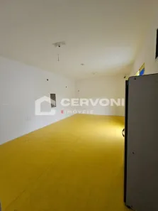 Imóvel Comercial com 5 Quartos para alugar, 430m² no Jardim das Indústrias, São José dos Campos