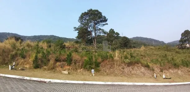 Lote/Terreno à venda, 450m² no Itacorubi, Florianópolis