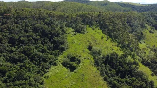 Fazenda/Sítio com 4 Quartos à venda, 68268m² no Rio Abaixo, Jacareí