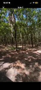 Fazenda/Sítio com 4 Quartos à venda, 338800m² no Centro, Tanabi