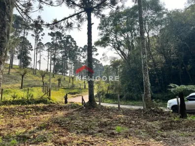 Fazenda/Sítio com 1 Quarto à venda, 2500m² no Centro, São Francisco de Paula