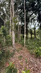 Lote/Terreno à venda, 300m² no Arraial D'Ajuda, Porto Seguro
