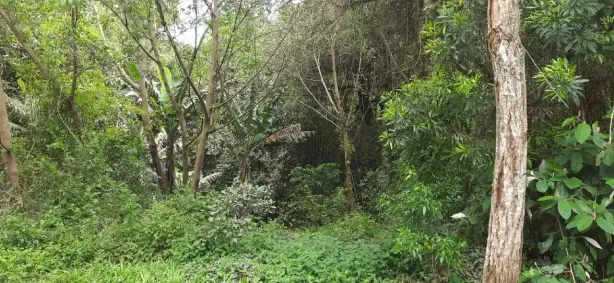 Lote/Terreno à venda, 300m² no São Lucas, Viamão