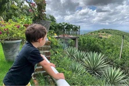 Fazenda/Sítio com 4 Quartos à venda, 400m² no Taquaritinga do Norte, Taquaritinga do Norte